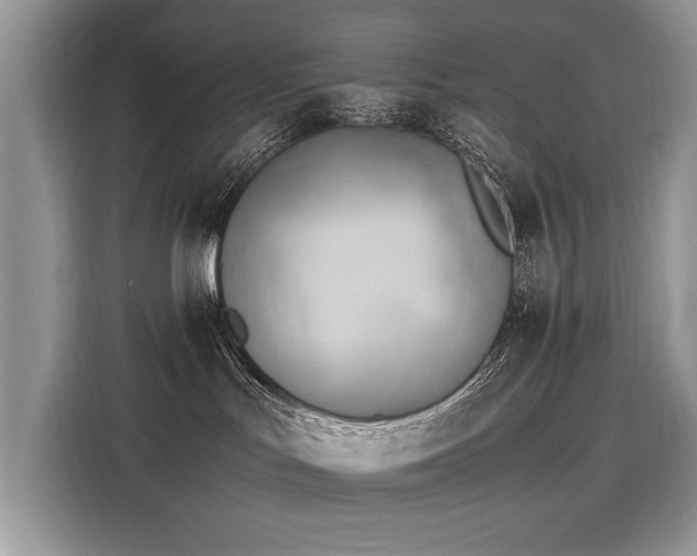 X0000116260047200911301202