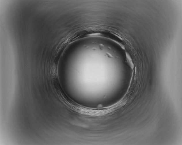 X0000116260048200911301202
