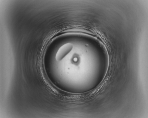 X0000116260049200911301201