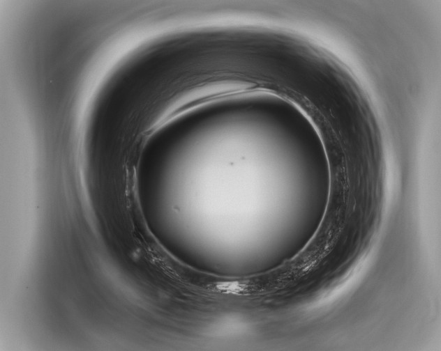 X0000116260050200911301201