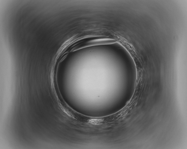 X0000116260051200911301201