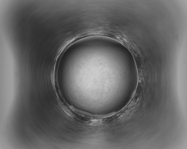 X0000116260052200911301201