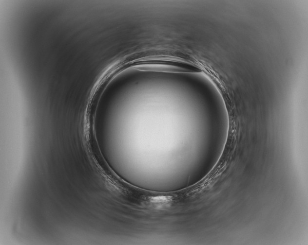 X0000116260053200911301201