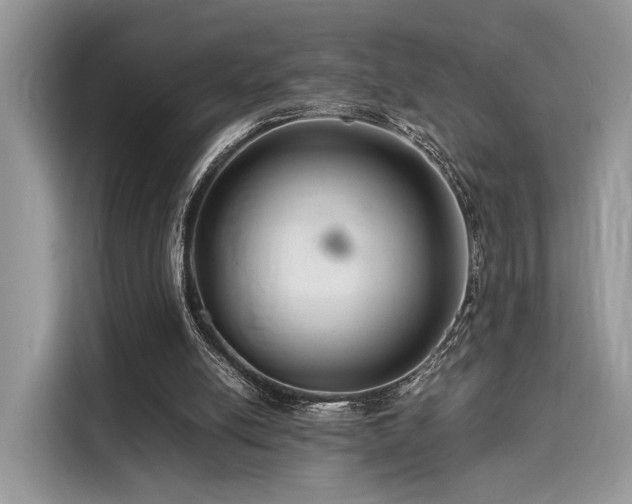 X0000116260054200911301201