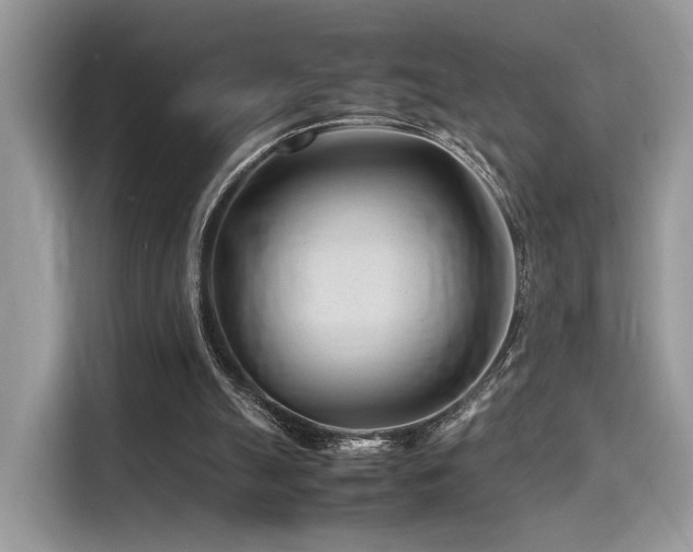 X0000116260055200911301201