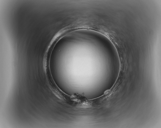 X0000116260056200911301201