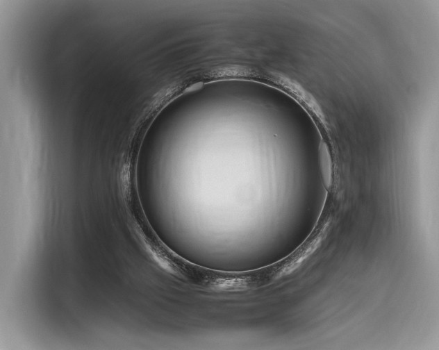 X0000116260057200911301201