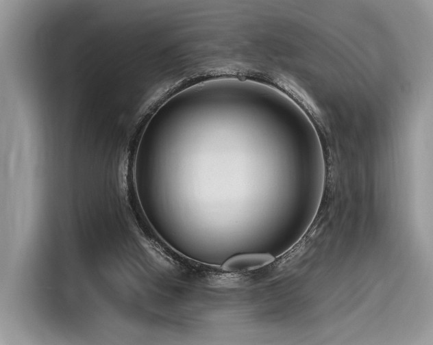 X0000116260058200911301201