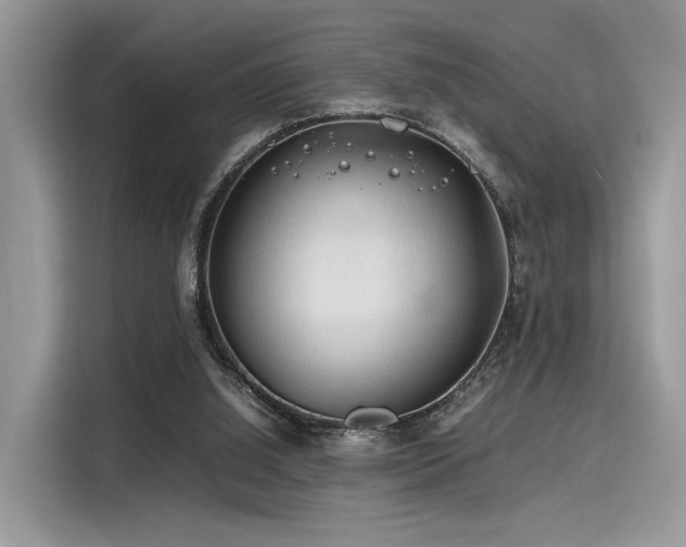 X0000116260060200911301201