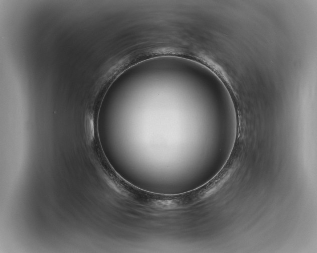 X0000116260061200911301201