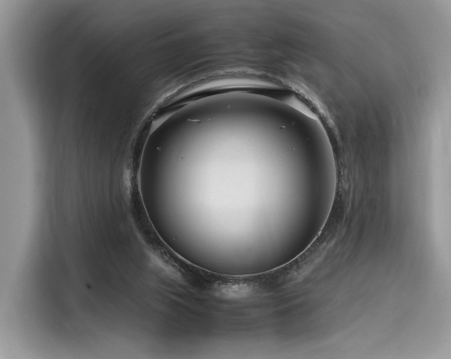 X0000116260063200911301201