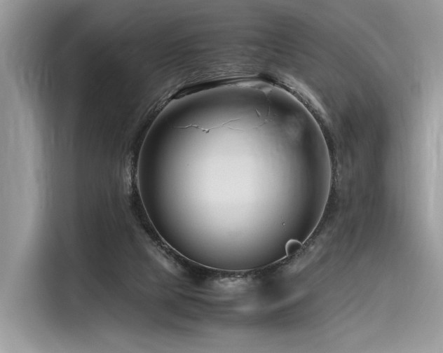 X0000116260065200911301201