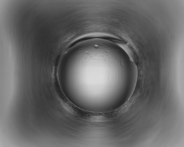 X0000116260066200911301201