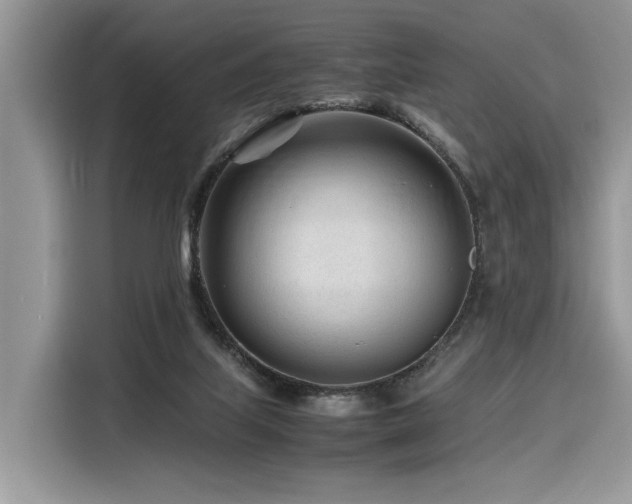 X0000116260067200911301201