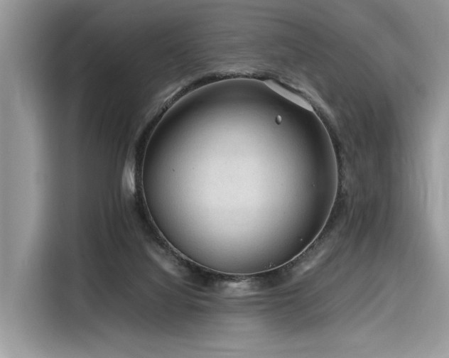 X0000116260068200911301201