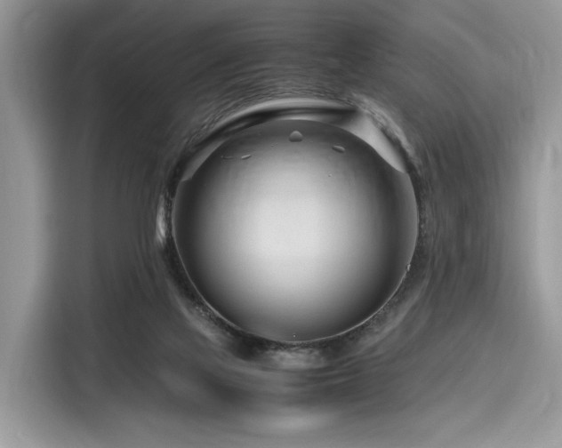 X0000116260069200911301201