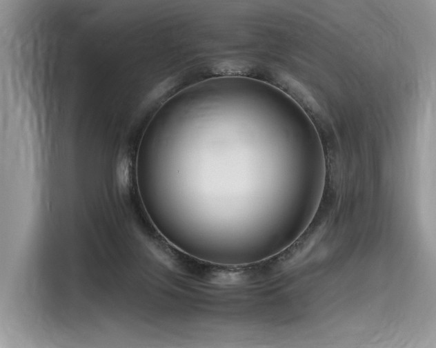 X0000116260071200911301201