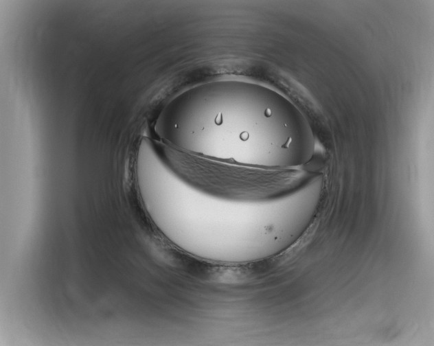 X0000116260074200911301202