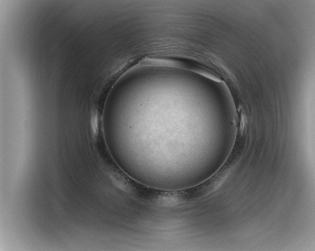 X0000116260076200911301202