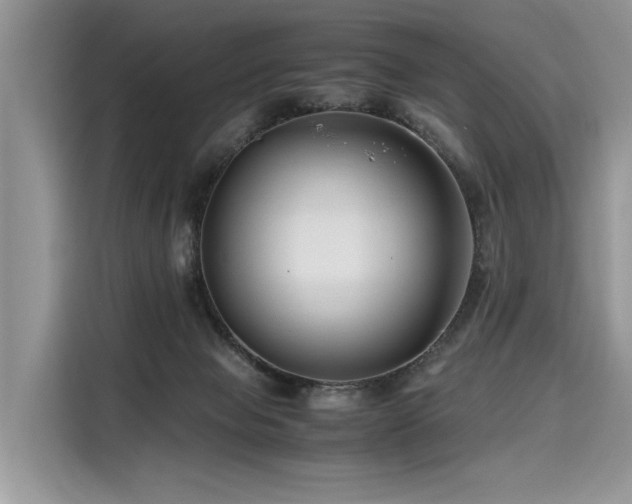 X0000116260077200911301202