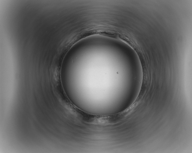 X0000116260078200911301202