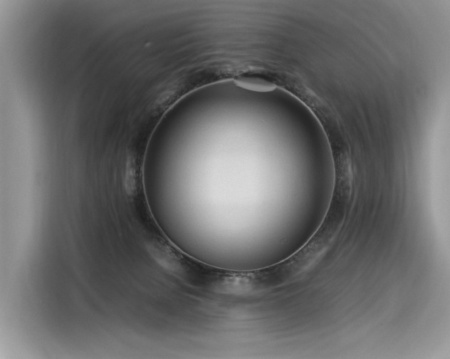 X0000116260080200911301202