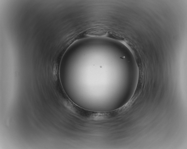 X0000116260082200911301202