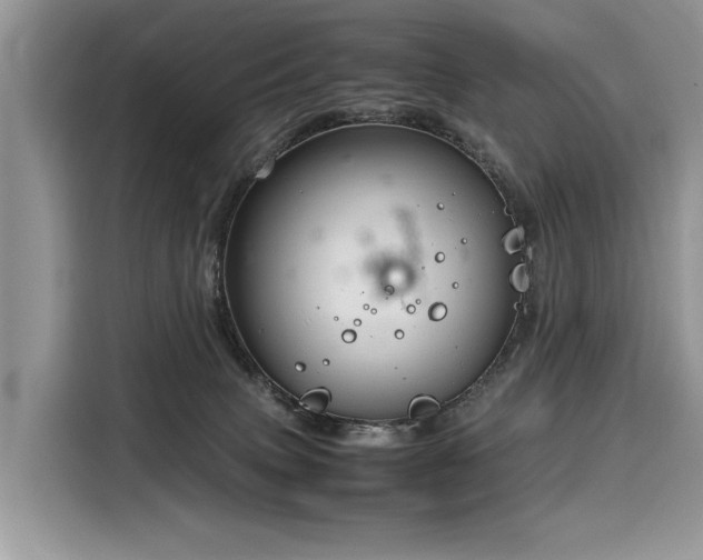 X0000116260083200911301202