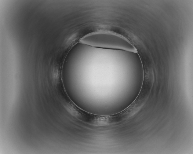 X0000116260084200911301202