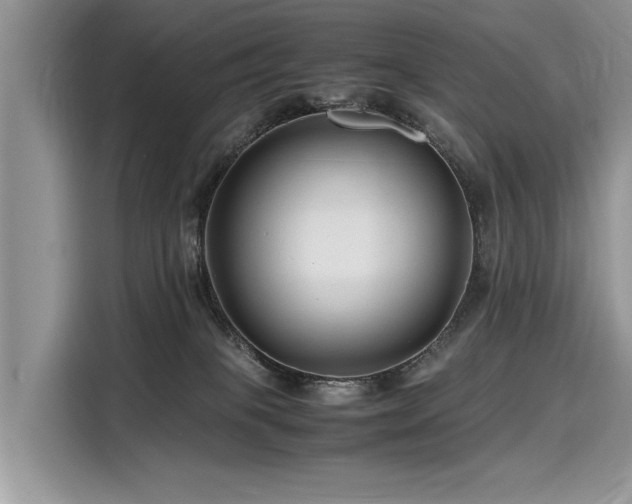 X0000116260085200911301202
