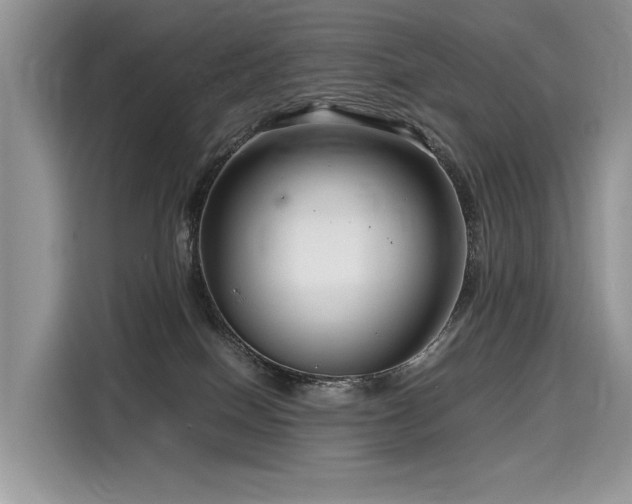 X0000116260086200911301202