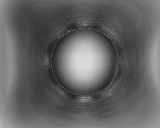 X0000116260087200911301202