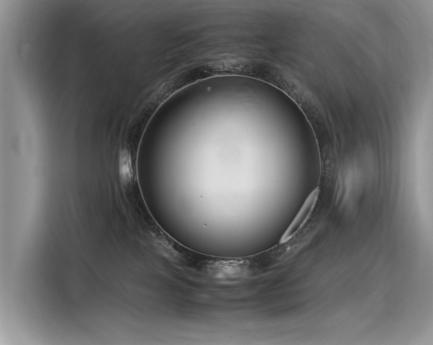 X0000116260089200911301202