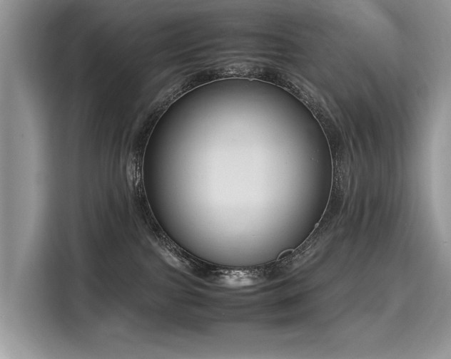 X0000116260091200911301202