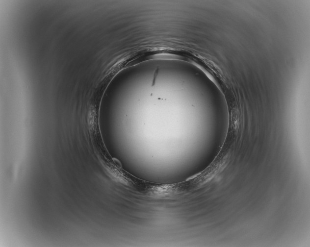 X0000116260092200911301202
