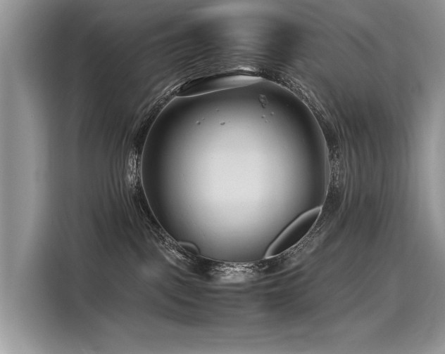 X0000116260093200911301202
