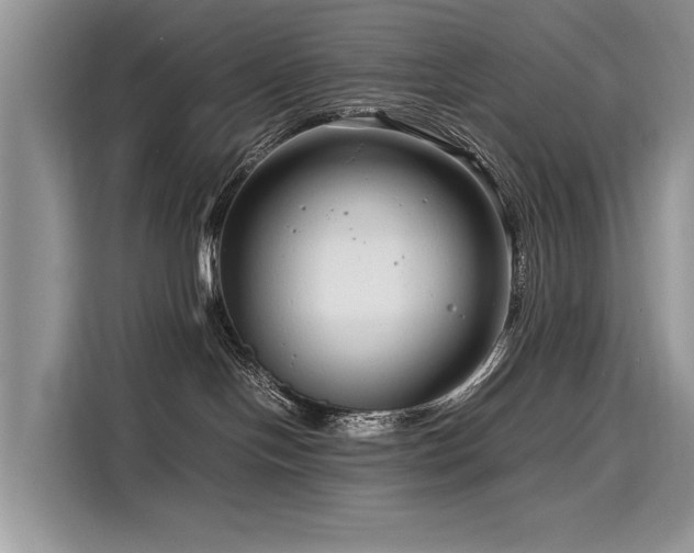 X0000116260094200911301202