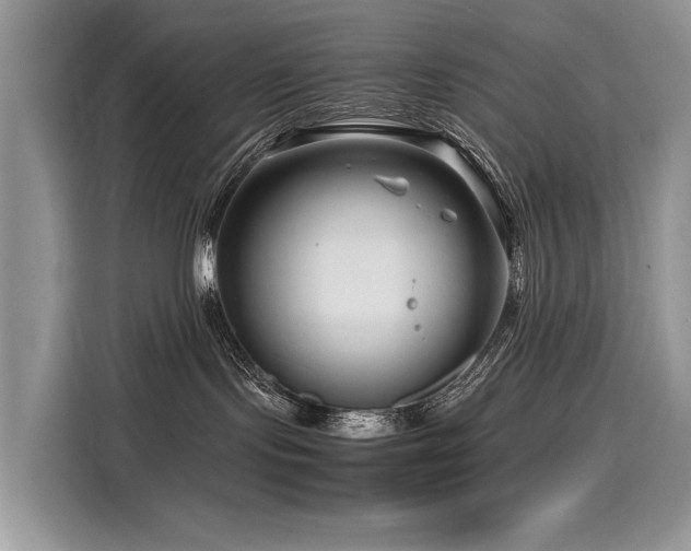 X0000116260095200911301202