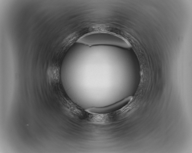 X0000116260096200911301202