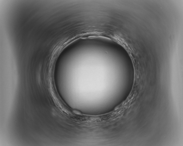 X0000116260097200911301201