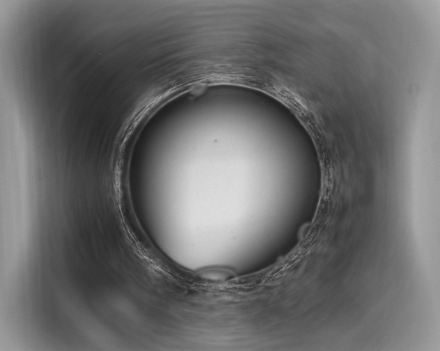X0000116260098200911301201