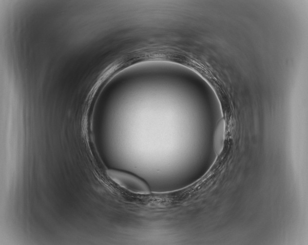X0000116260099200911301201