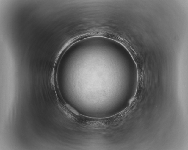 X0000116260100200911301201