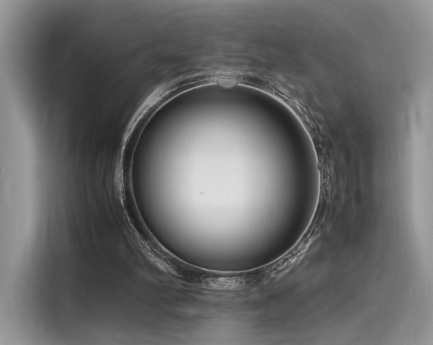 X0000116260102200911301201