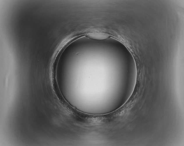 X0000116260103200911301201