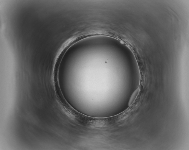 X0000116260104200911301201