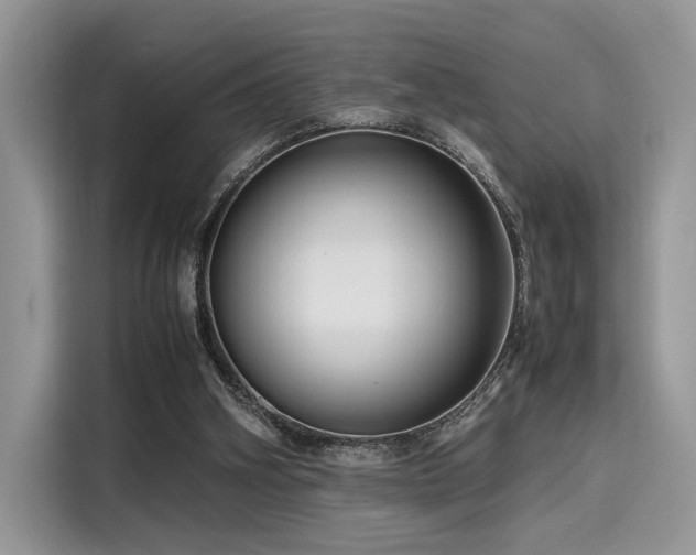 X0000116260106200911301201