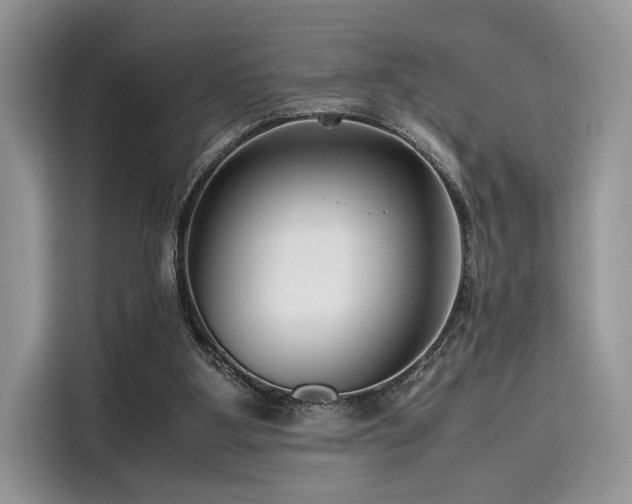 X0000116260107200911301201