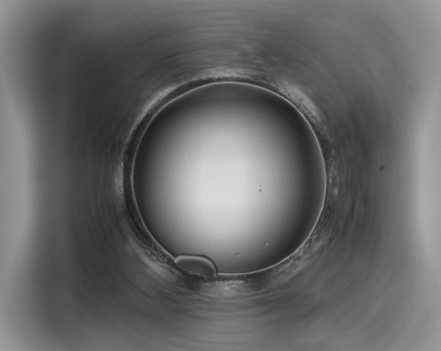 X0000116260108200911301201