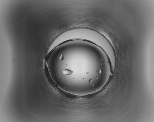 X0000116260109200911301201